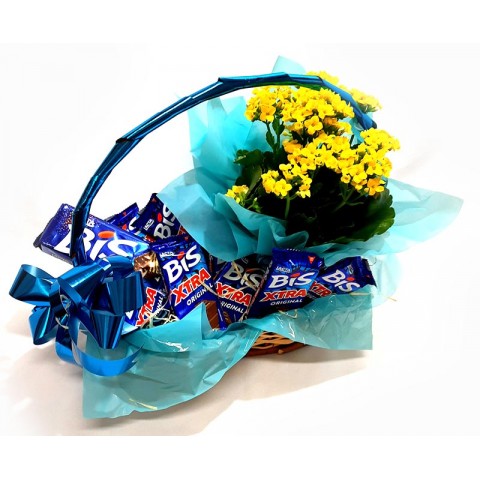 CESTA DE CHOCOLATE BIS EXTRA COM FLOR